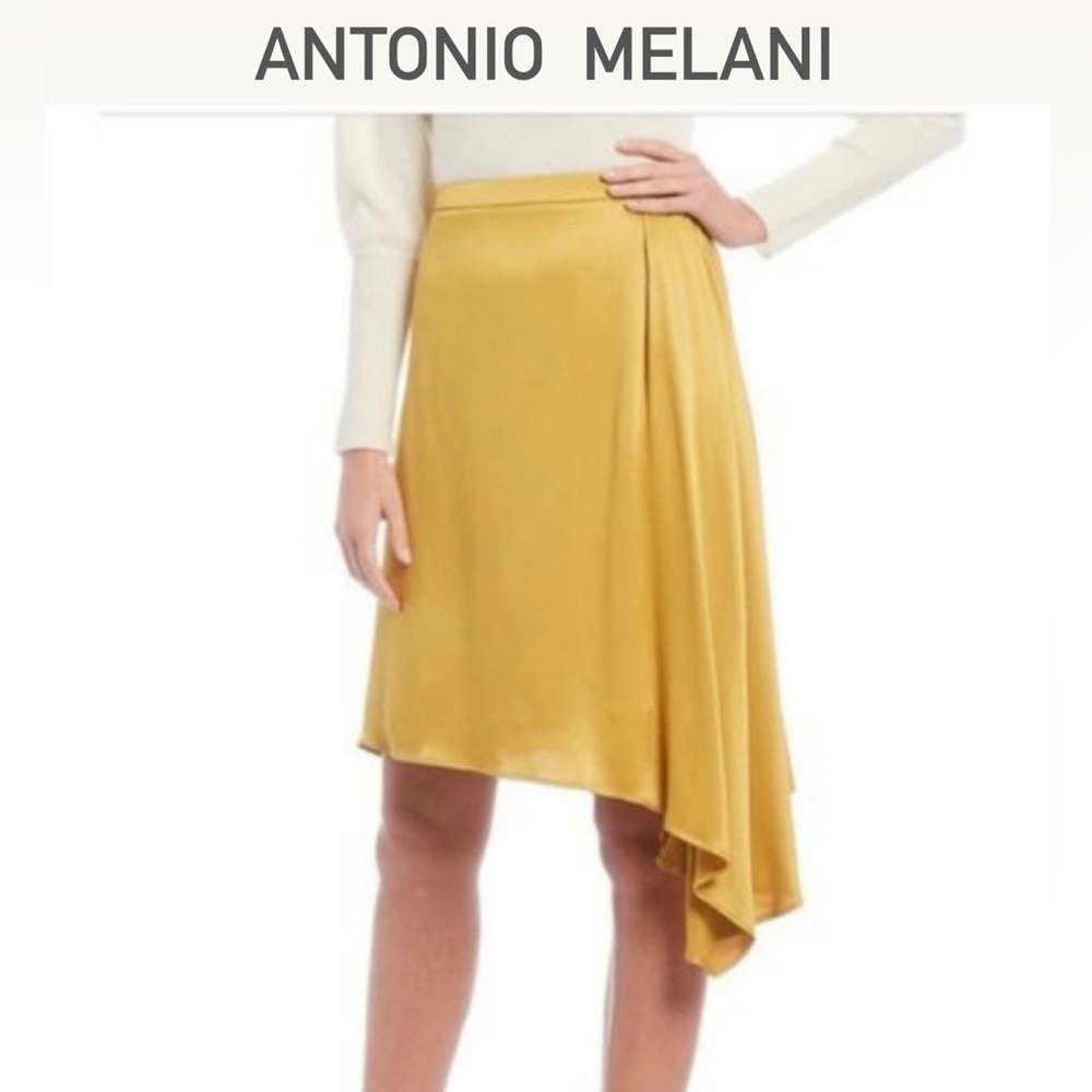 ANTONIO MELANI  Oliver Satin Skirt, Size 4